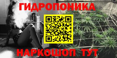 прущие крисы Бузулук
