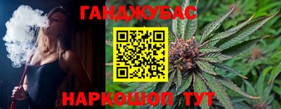 индика Можга